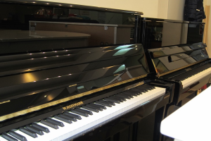 Пиано W.HOFFMANN - T122 + C.Bechstein Connect