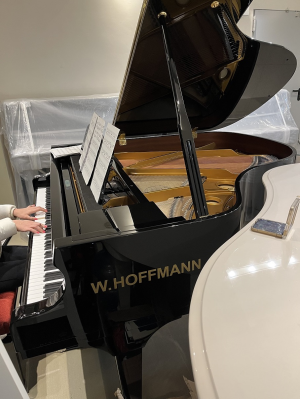 Grand piano W.HOFFMANN - V 158