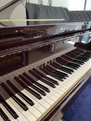 YAMAHA - G1 махагон
