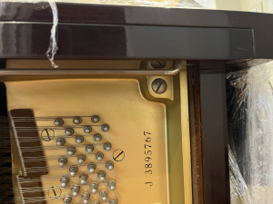 YAMAHA - G1