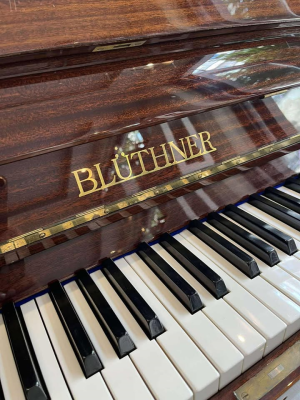 Piano BLUTHNER