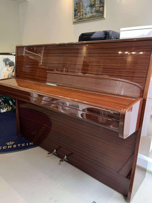 Piano BLUTHNER