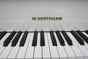 W.HOFFMANN Tradition T 177 + C.Bechstein Connect