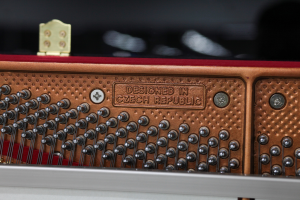 PETROF - P 121 MD SPRING