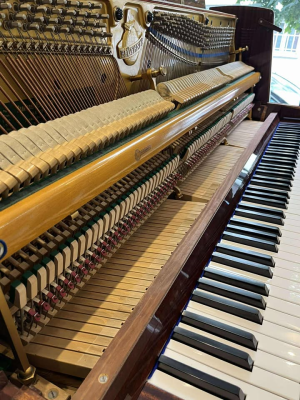 Piano BLUTHNER