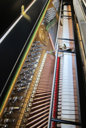 Пианино W.HOFFMANN - T122 + C.Bechstein Connect