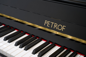 PETROF - P 121 MD SPRING