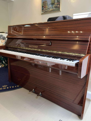 Piano BLUTHNER