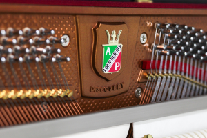 PETROF - P 121 MD SPRING