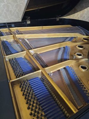 H.WOLFRAMM - DRESDEN