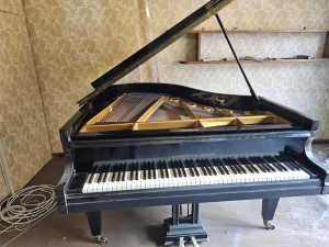 H.WOLFRAMM - DRESDEN