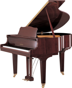 YAMAHA - G1