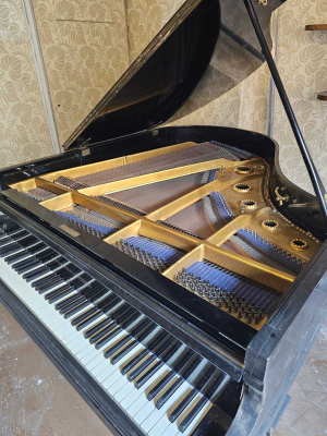 H.WOLFRAMM - DRESDEN